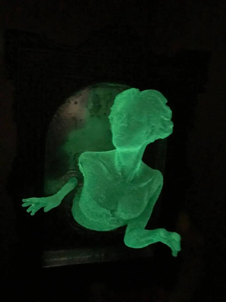 Spirit im Spiegel – Glänzende 3D-Wanddekoration aus Harz