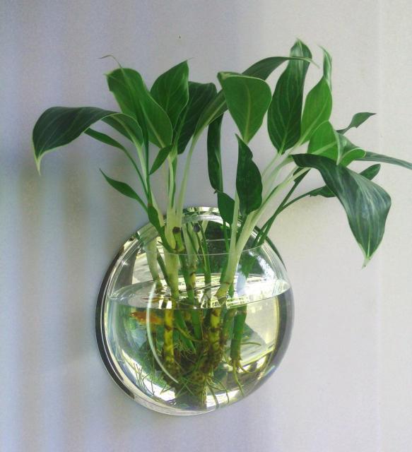 Wandmontierte transparente Fischtank-Blumenvase