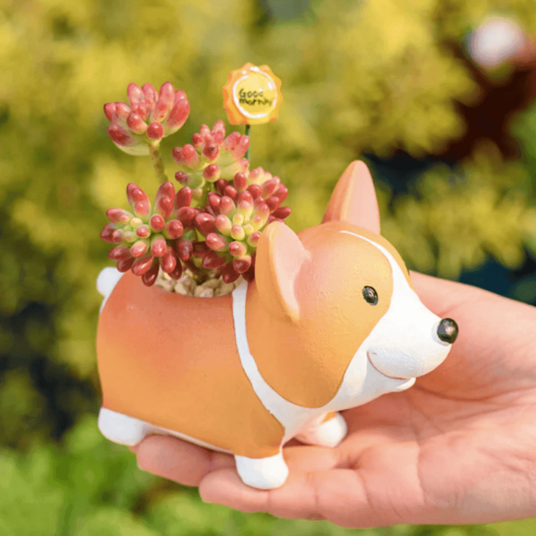 Resin Corgi Mini Blumentopf